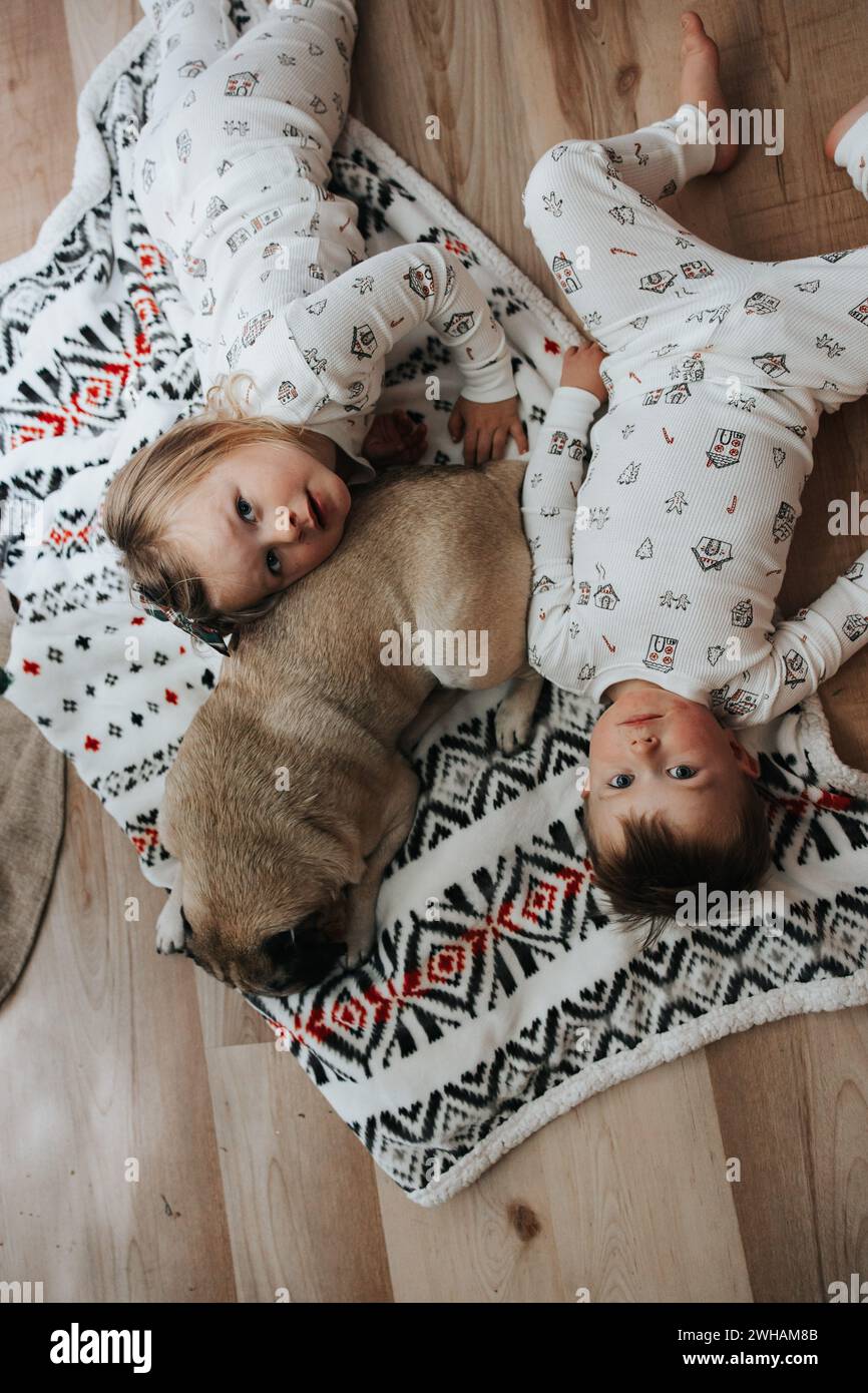 Siblings under tree, christmas cuddles with pug Stock Photo