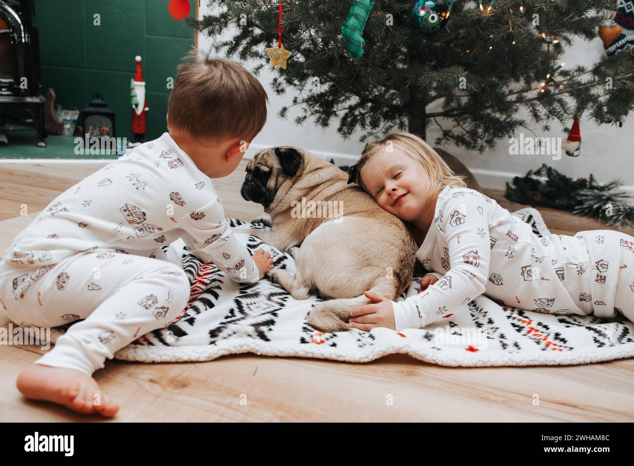 Siblings under tree, christmas cuddles with pug Stock Photo