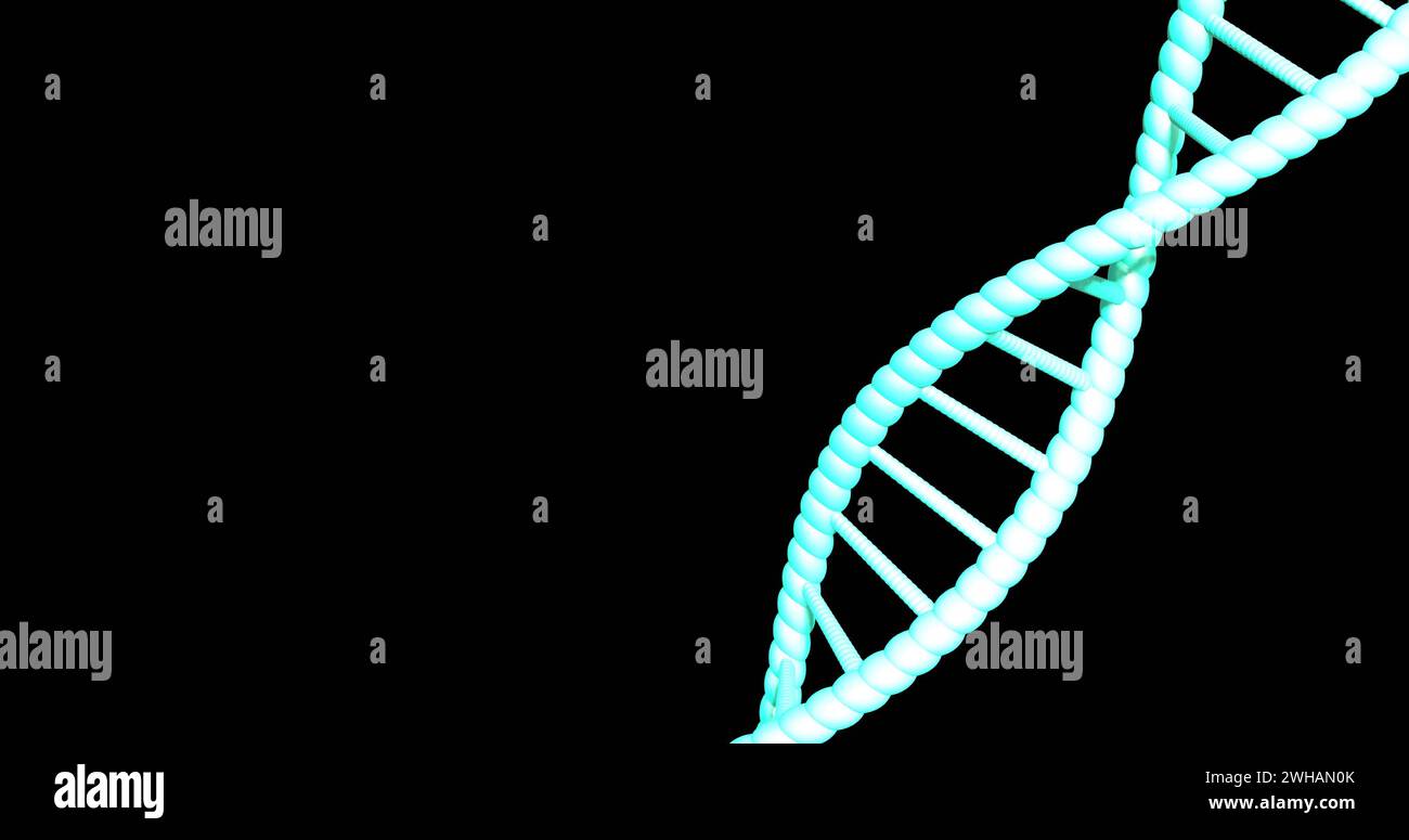 Image of dna strand spinning with copy space over black background Stock Photo