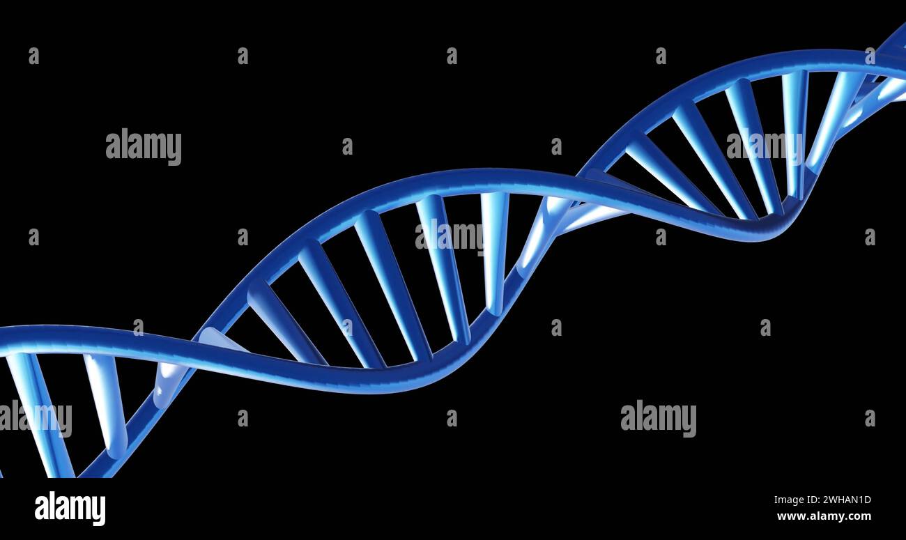 Image of dna strand spinning with copy space over black background Stock Photo