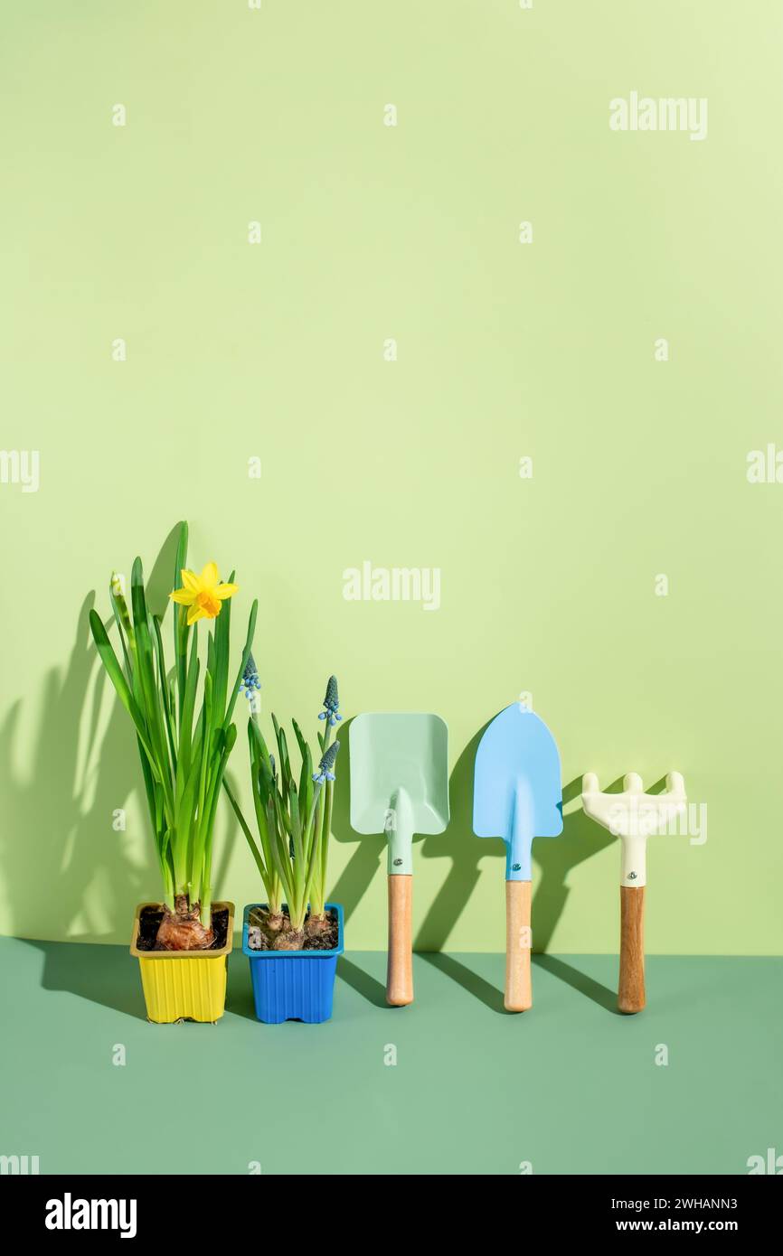 Gardening tools with plant. Summer  outdoor garden works concept. Stock Photo