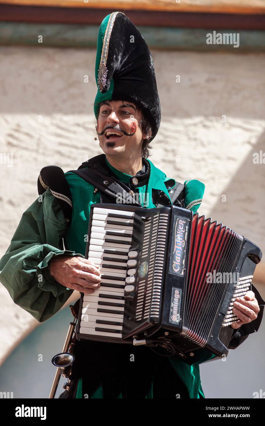 Renaissance accordion player in jester costume Stock Photo Alamy