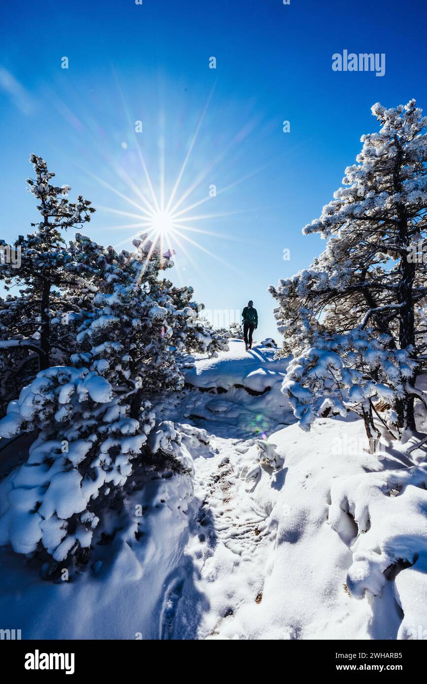 Woman hikes in Acadia National Park on beautiful snowy winter day. Stock Photo