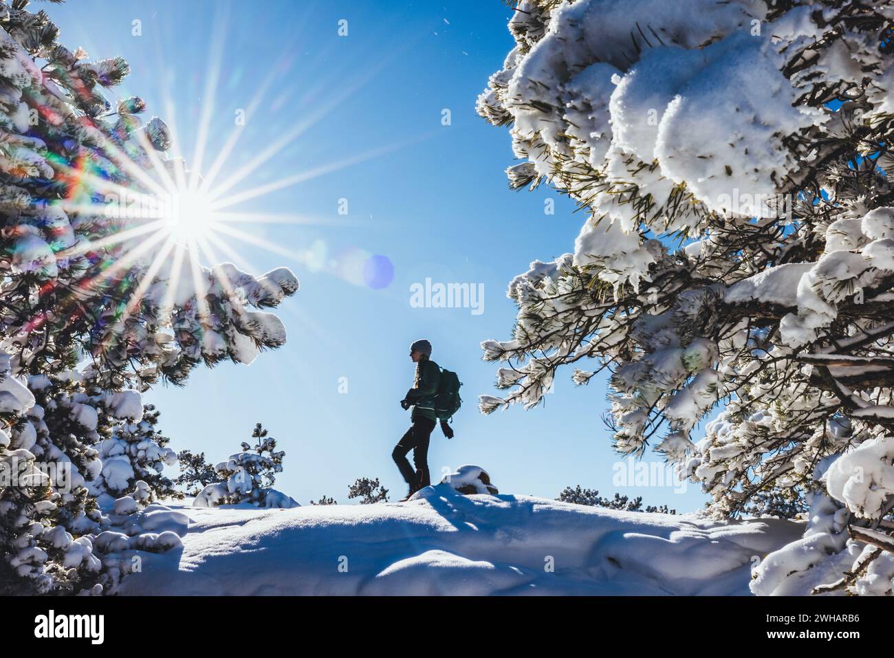 Woman hikes through winter wonderland at Acadia National Park Stock Photo