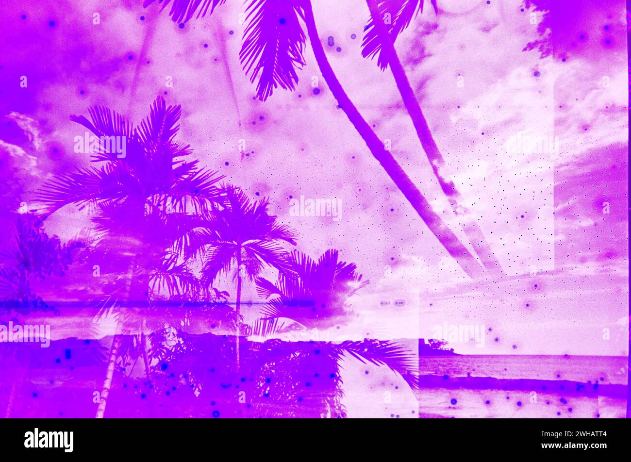 Multiple Exposure Abstract Experimental of a Jamaican Vacation Stock