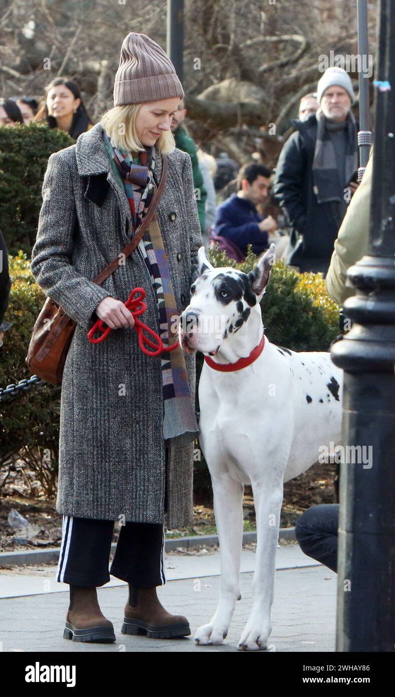 New York NY USA 8th Feb 2024 Naomi Watts On The Set Of The New New York Ny Usa 8th Feb 2024 Naomi Watts On The Set Of The New Film The Friend On February 08 2024 In New York City Credit Rwmedia Punchalamy Live News 2WHAY86