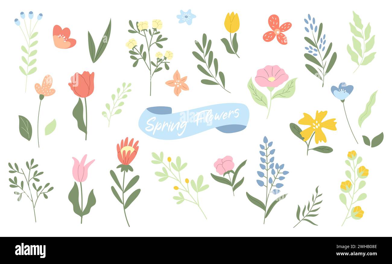 Hand drawn spring and summer flowers and leaves collection Stock Vector ...