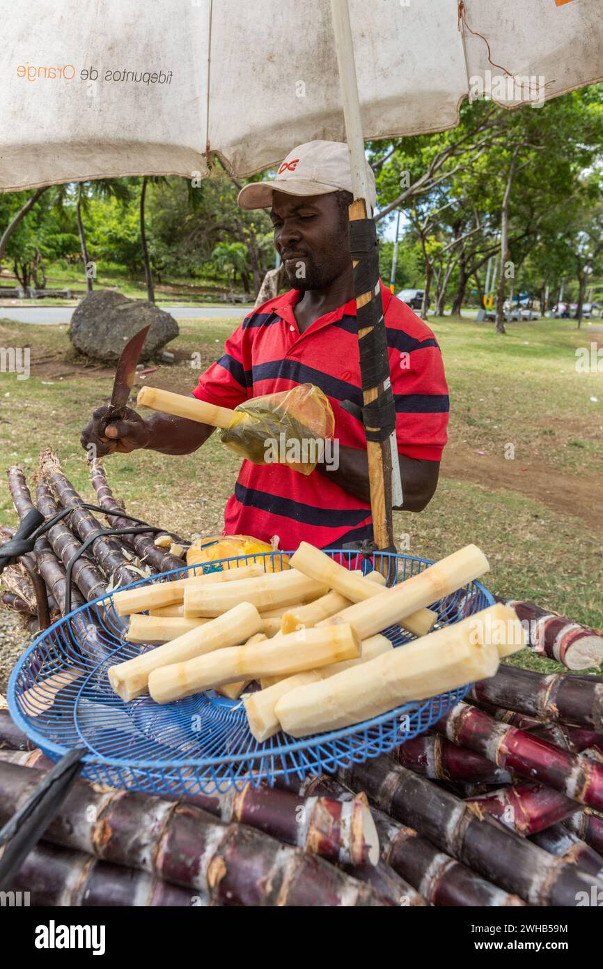 A Haitian immigrant selling sugar cane from a mobile cart in a park in ...