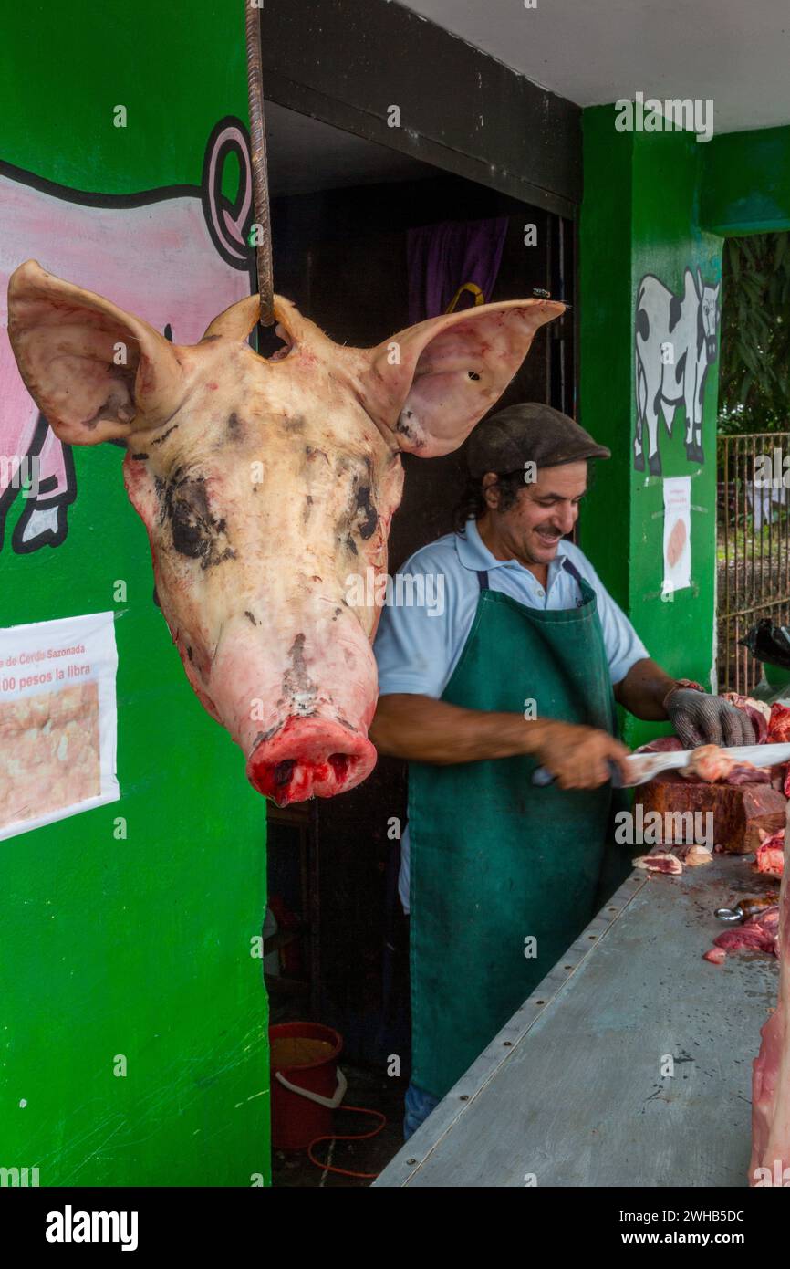 A pig head  on a meat hook at an open air butcher shop in Bonao, Dominican Republic.  The butcher is cutting in the background. Stock Photo