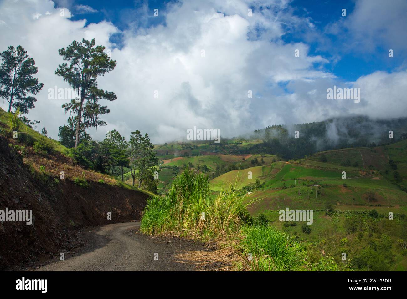Low clouds over farms in the hills near Constanza in the Dominican Republic.  Large Hispanola pine trees are at left. Stock Photo
