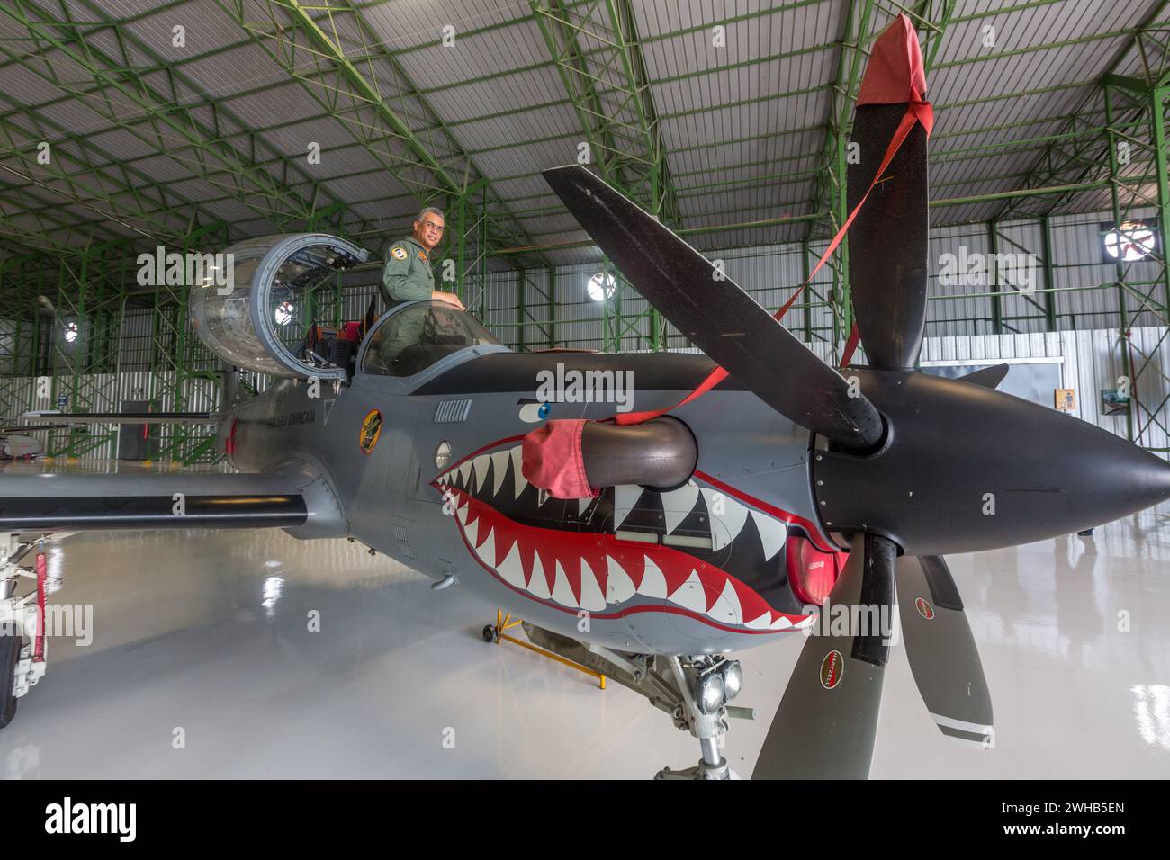 dominican air force ones