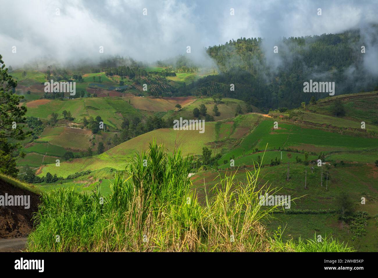 Low clouds over farms in the hills near Constanza in the Dominican Republic.  A forest of Hispanola pines is behind. Stock Photo