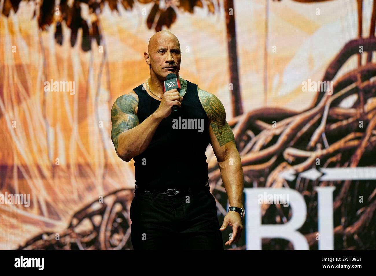 Dwayne johnson wrestling hi-res stock photography and images - Alamy