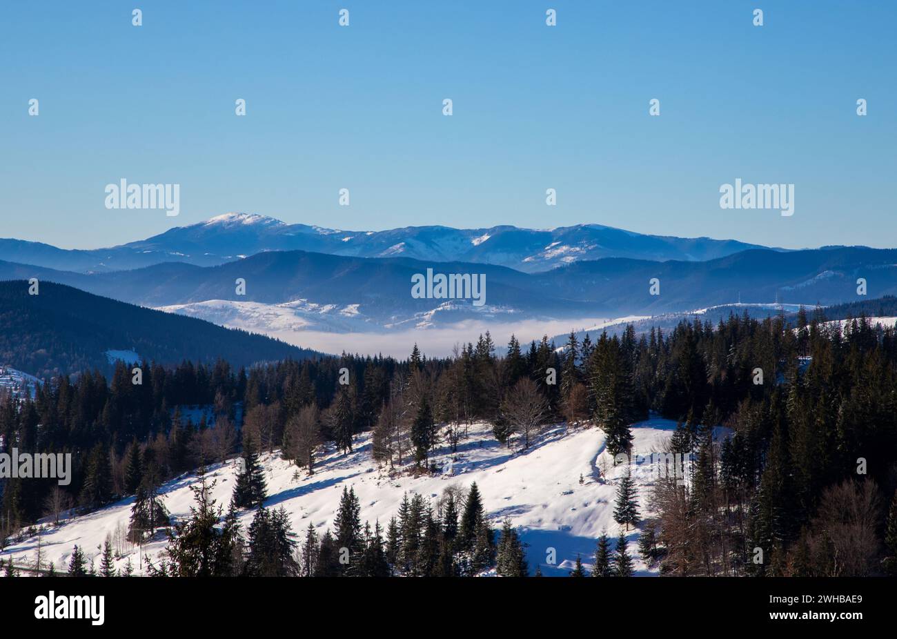 Snowy mountains with trees and a background of mountains, located near ...