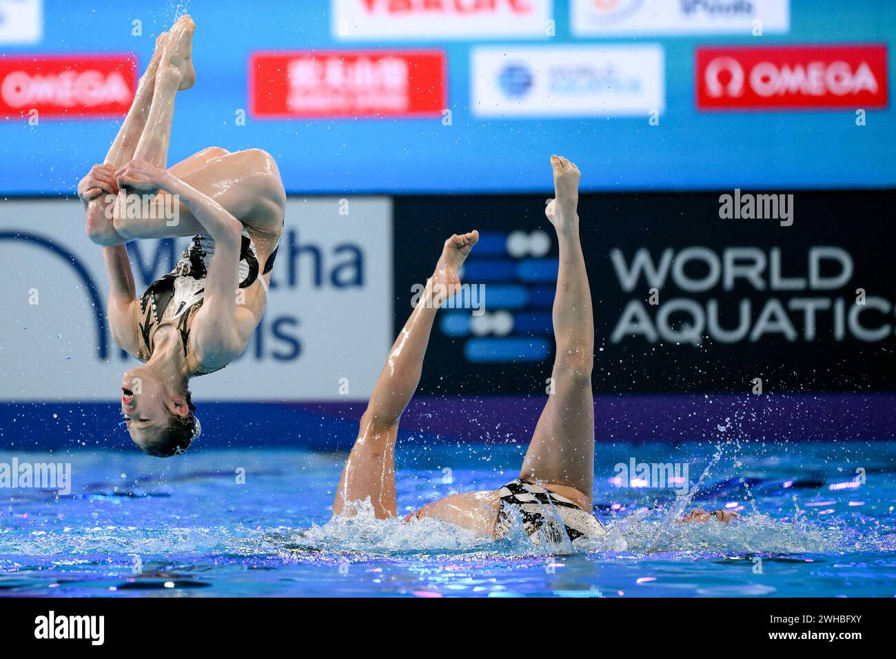 Mashiro yasunaga hires stock photography and images Alamy