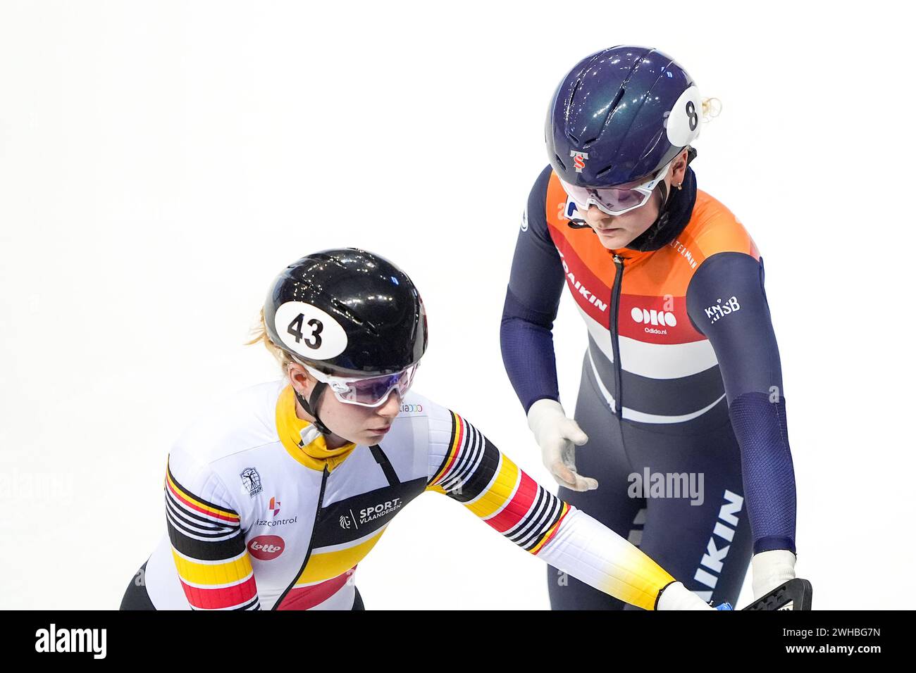 Dresden, Germany. 09th Feb, 2024. DRESDEN, GERMANY - FEBRUARY 9: Dulk Tineke Den of Belgium, Xandra Velzeboer of The Netherlands competing on the Women's 500m Heats during the ISU World Cup Short Track Speed Skating 5 Dresden at JOYNEXT Arena on February 9, 2024 in Dresden, Germany. (Photo by Andre Weening/Orange Pictures) Credit: Orange Pics BV/Alamy Live News Stock Photo