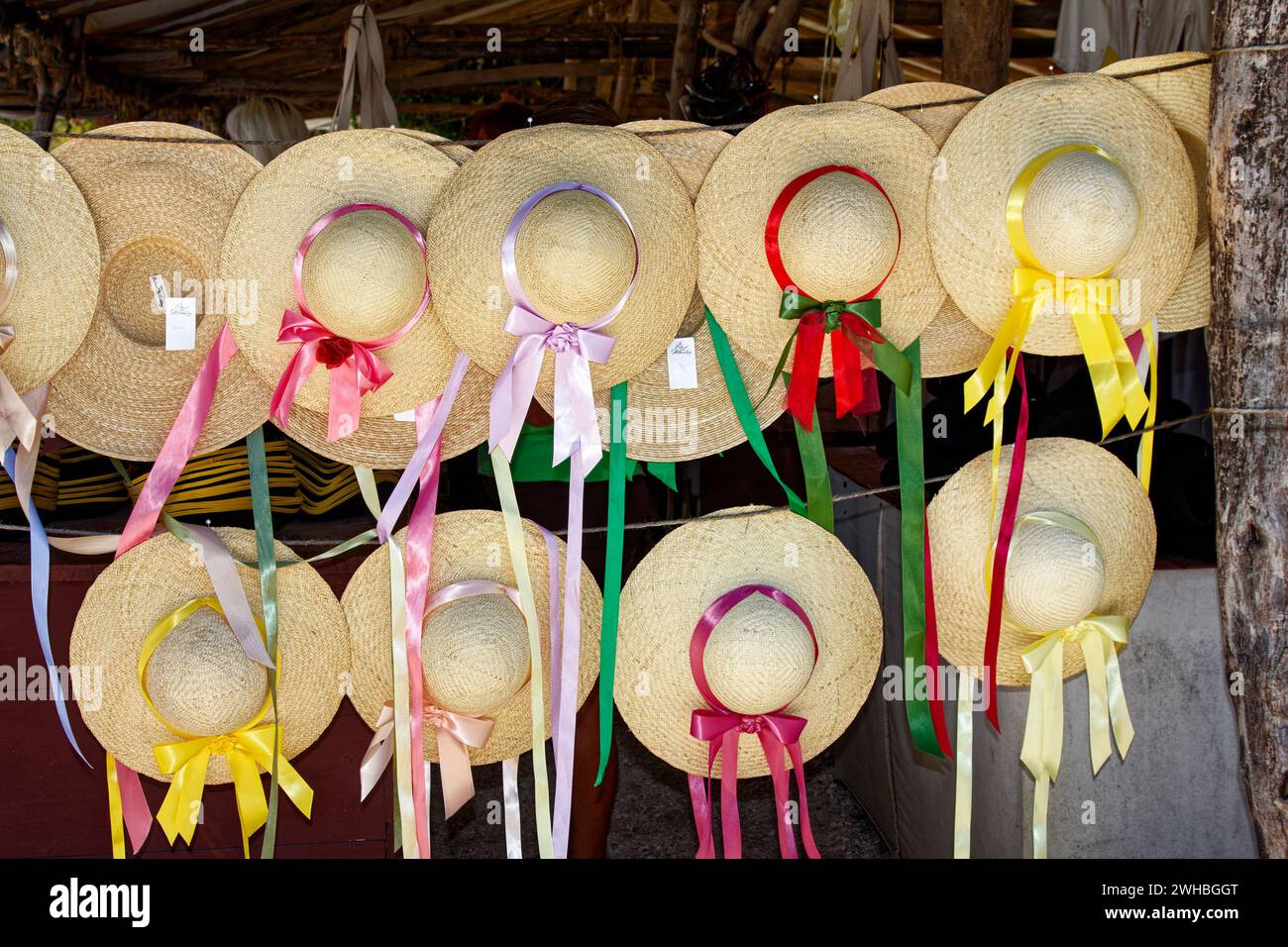 Wide brimmed sun hat hi-res stock photography and images - Page 4 - Alamy