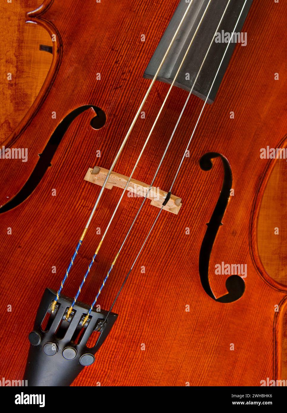 Violin viola cello bass hi-res stock photography and images - Alamy