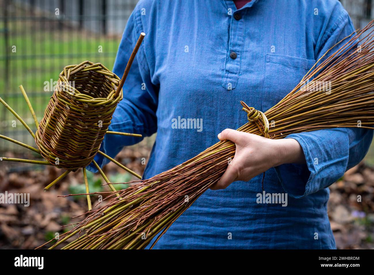 Willow Rods Splints Willow rods hi-res stock photography and images - Alamy