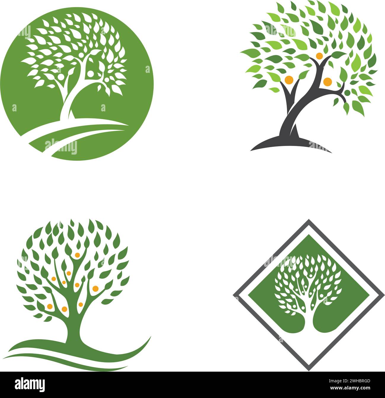 family tree logo template vector illustration Stock Vector Image & Art ...