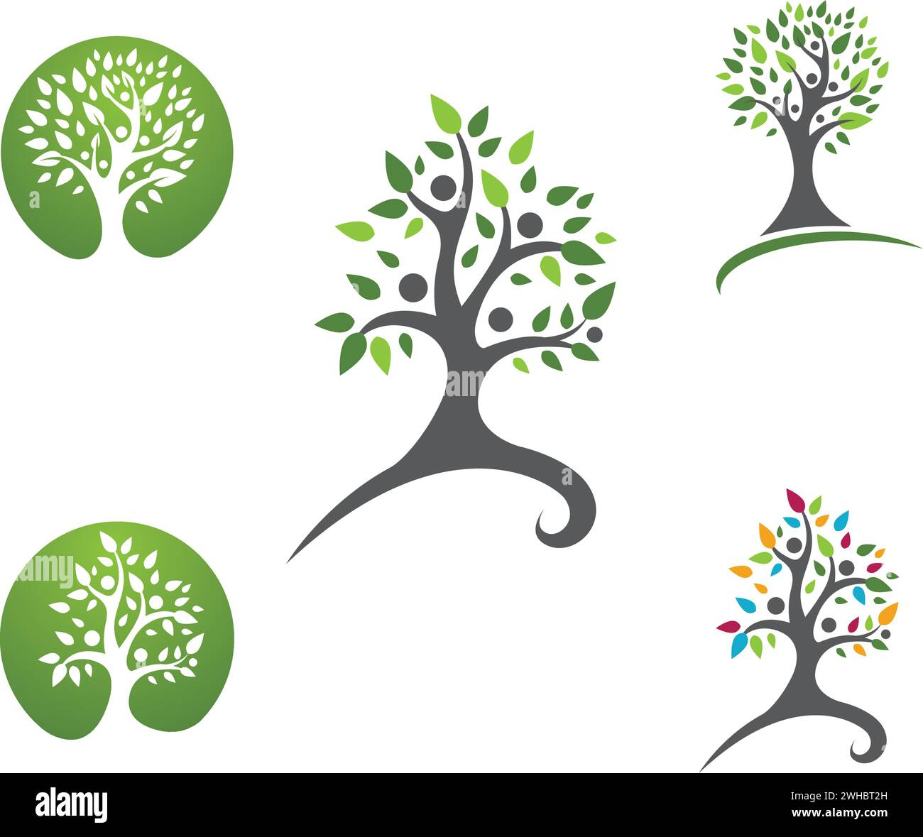 family tree logo template vector illustration Stock Vector Image & Art ...