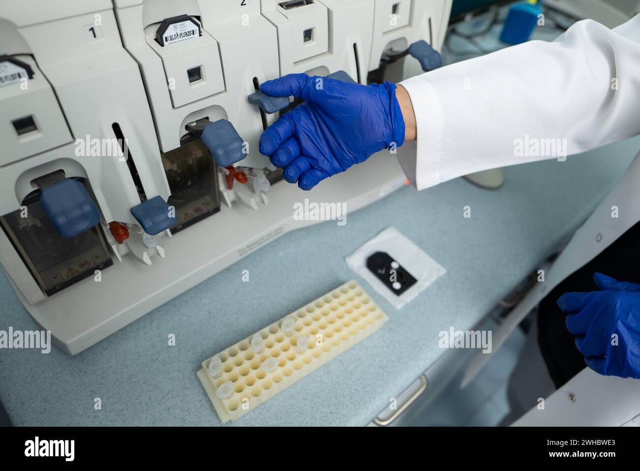 Lab Technologist Uses Flow Cytometry Equipment for Research Stock Photo