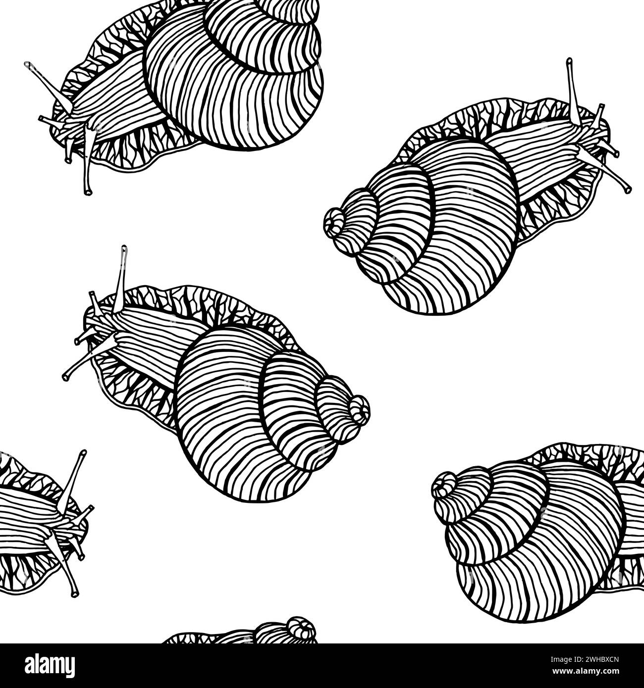 Black and White Hand Drawn Snails Brown and Beige Line Art Stock Vector ...