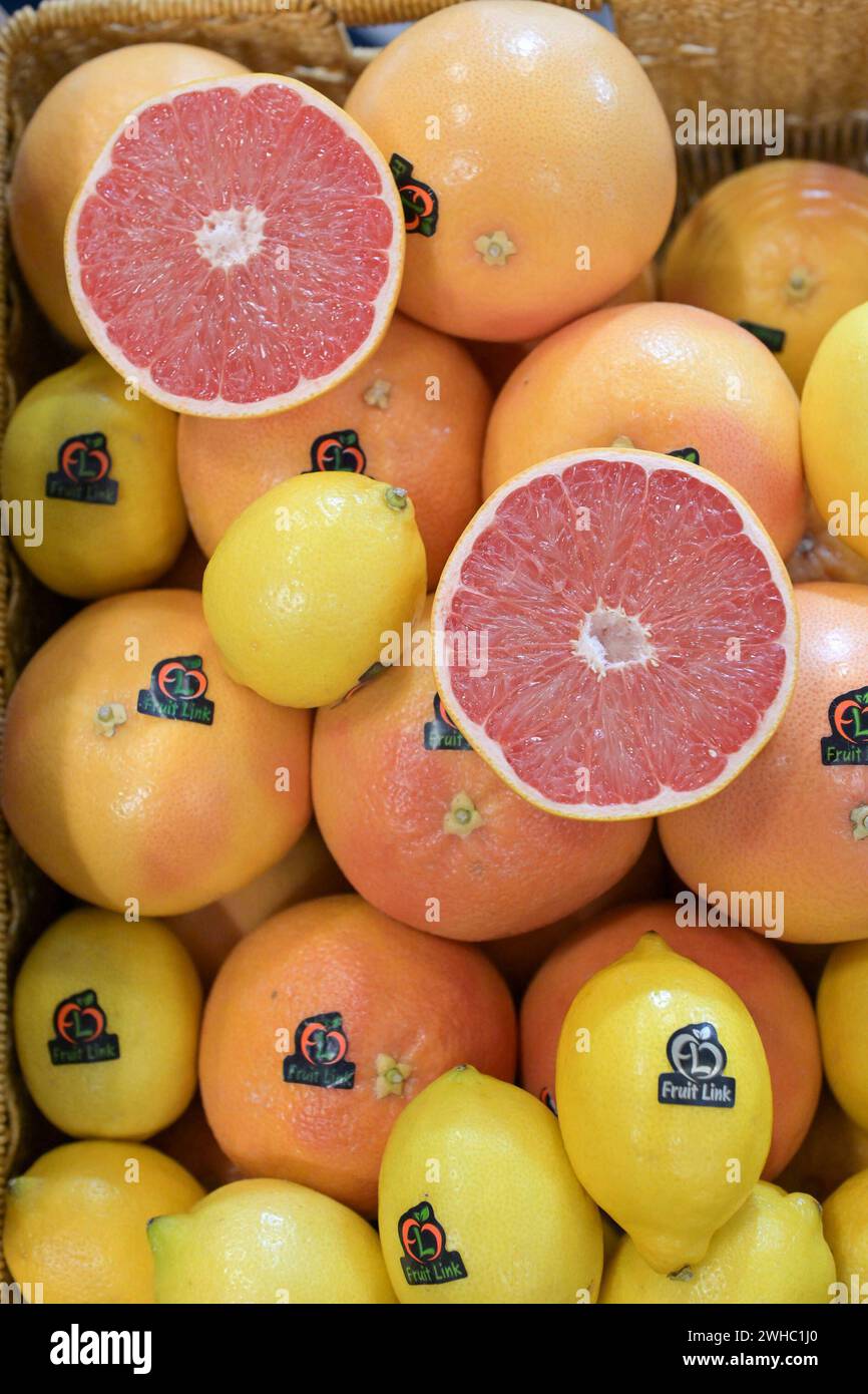 Berlin, Deutschland 07. 09. Februar 2024 Fruit Logistica 2024 Im