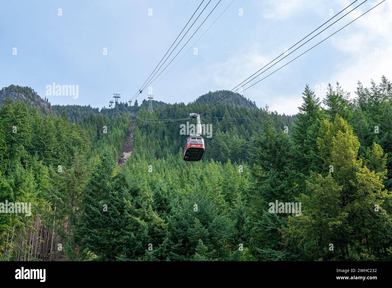 The Skyride Gondola which is used to bring visitors to the top of