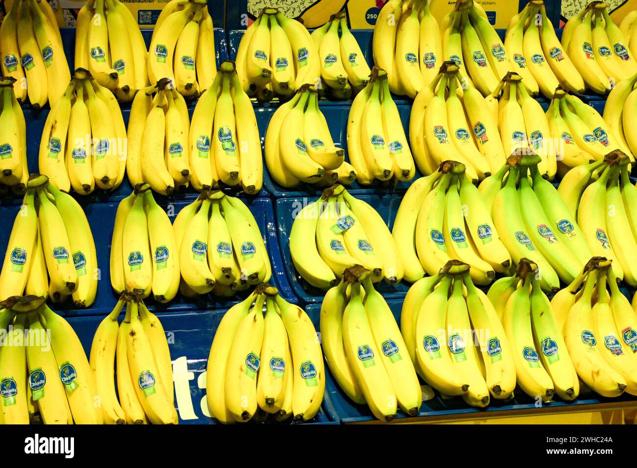Berlin Deutschland 07 09 Februar 2024 Fruit Logistica 2024 Im berlin-deutschland-07-09-februar-2024-fruit-logistica-2024-im