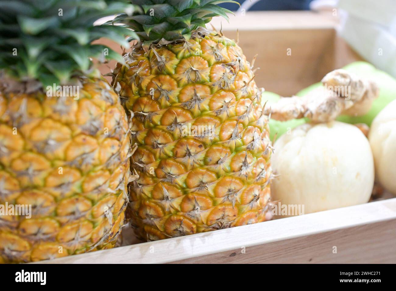 Berlin, Deutschland 07. 09. Februar 2024 Fruit Logistica 2024 Im