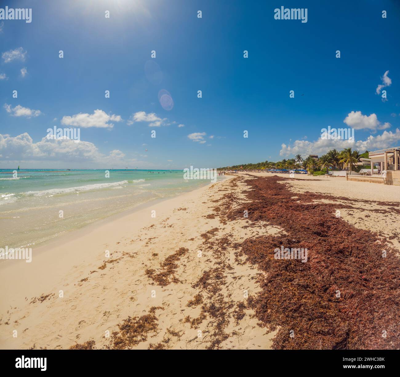 The beautiful Caribbean beach totally filthy and dirty the nasty ...