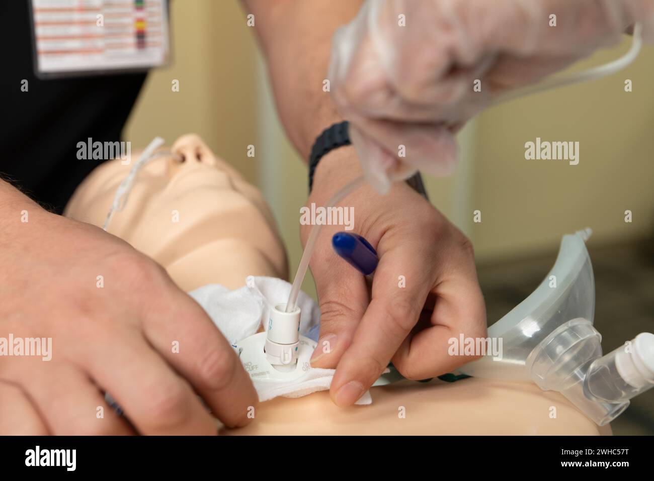 A Person Putting Oxygen On A Mannequin Person's Hand Holding A Tube. Stock Photo