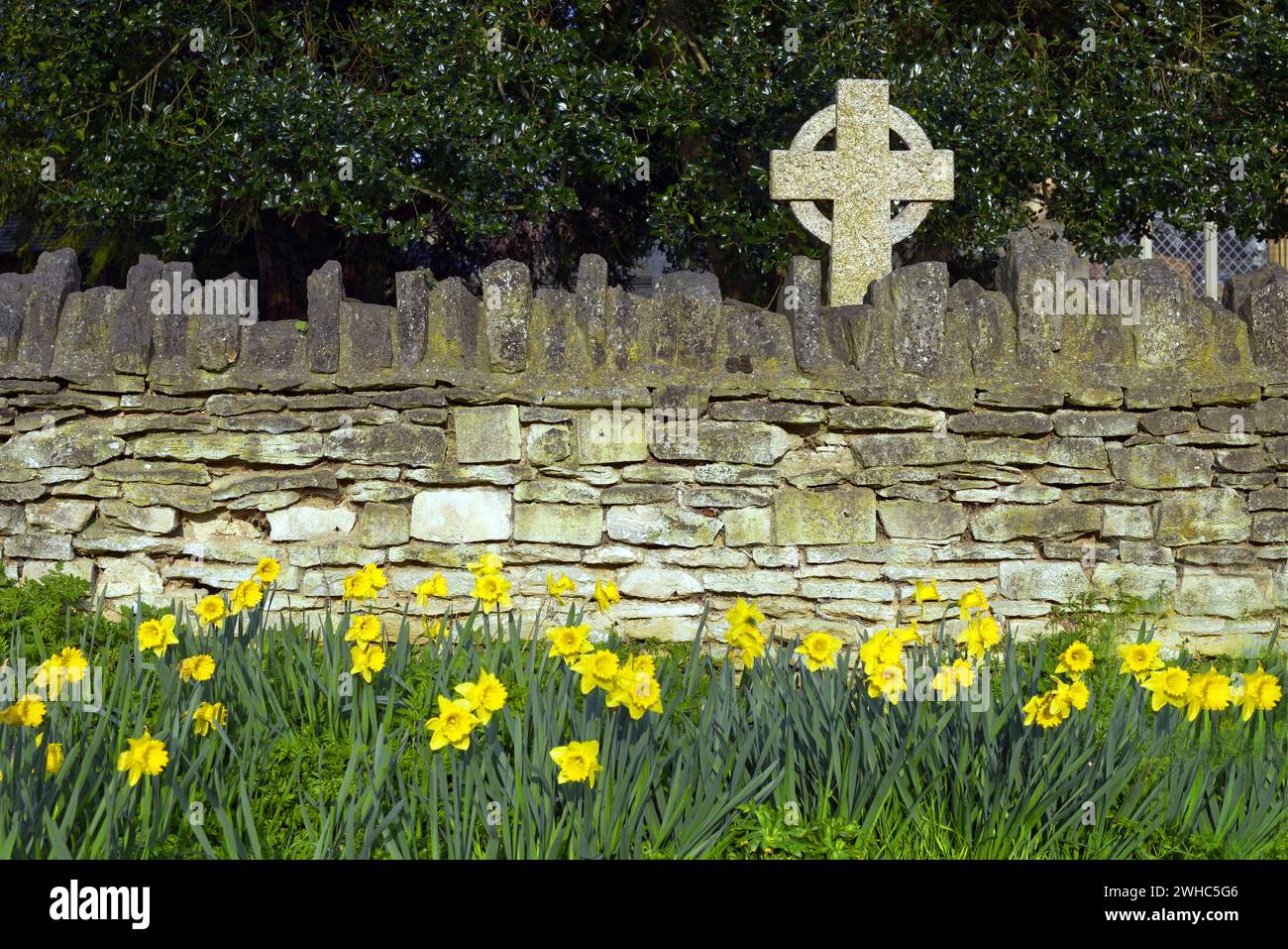 Sharnbrook, Bedfordshire, England, UK, springtime - Daffodils in bloom next to stone wall of a village churchyard, with Celtic cross headstone visible Stock Photo