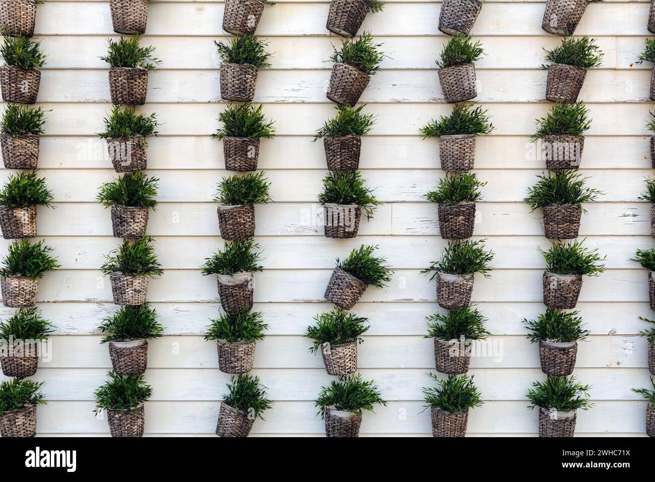 Many flower pots with artificial green plants in rows, dull wooden privacy screen, fence, full-size, Spain Stock Photo