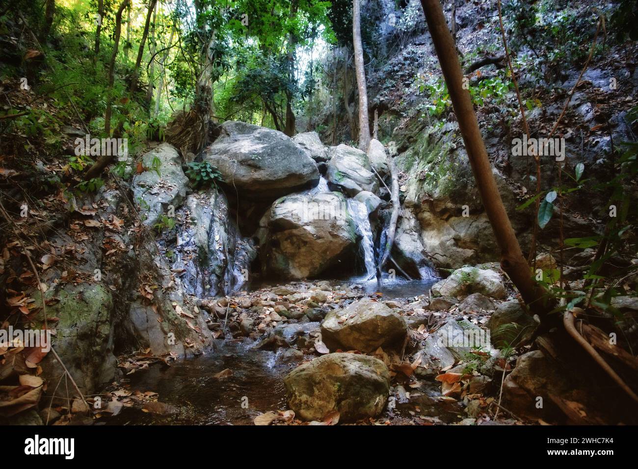 Small waterfall in stream Stock Photo