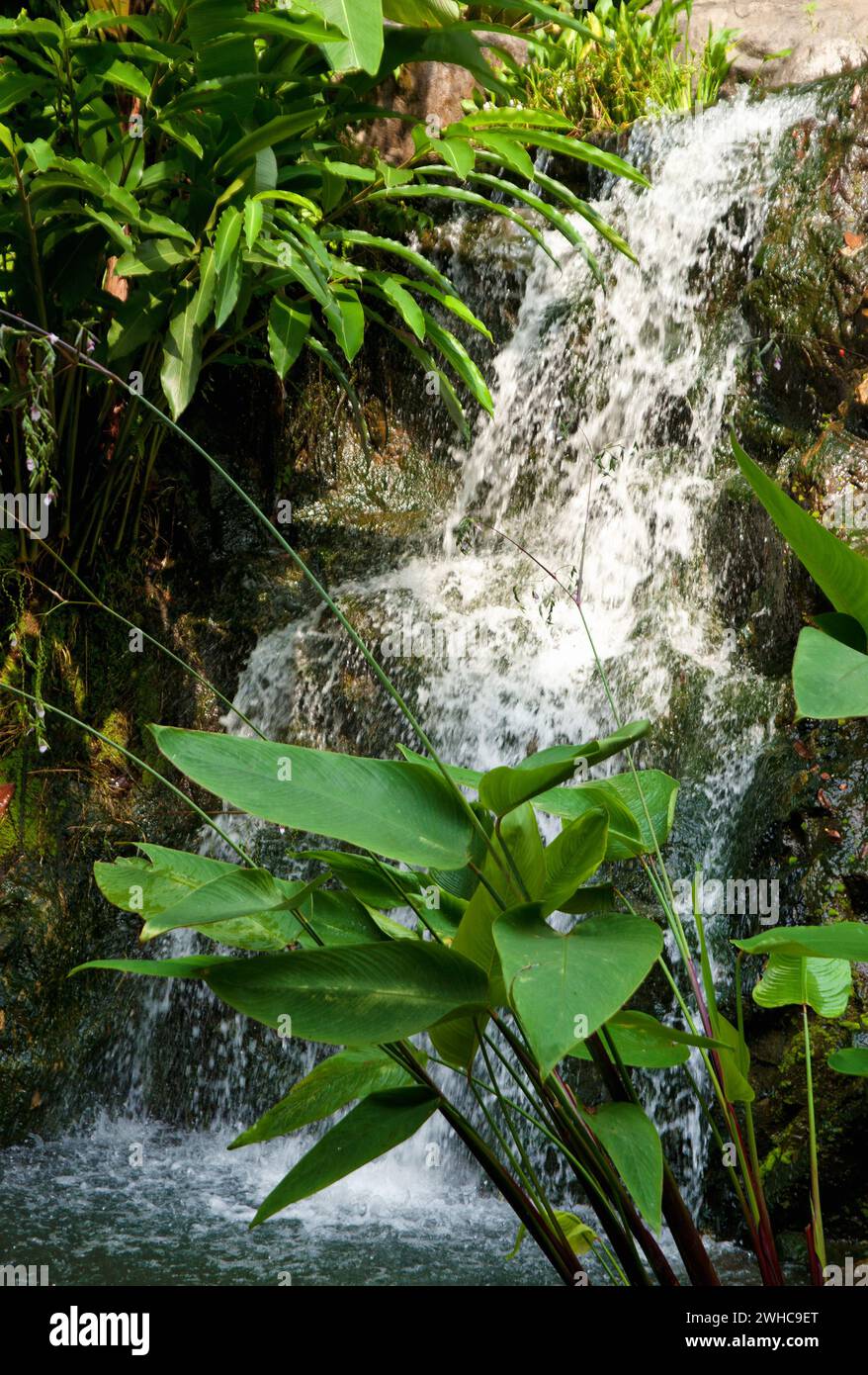 Waterfall cascade hi-res stock photography and images - Alamy