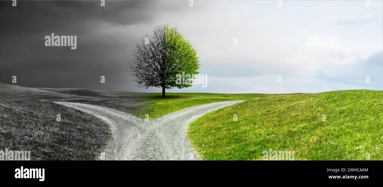 Fork in the road on a path through a hilly landscape Stock Photo