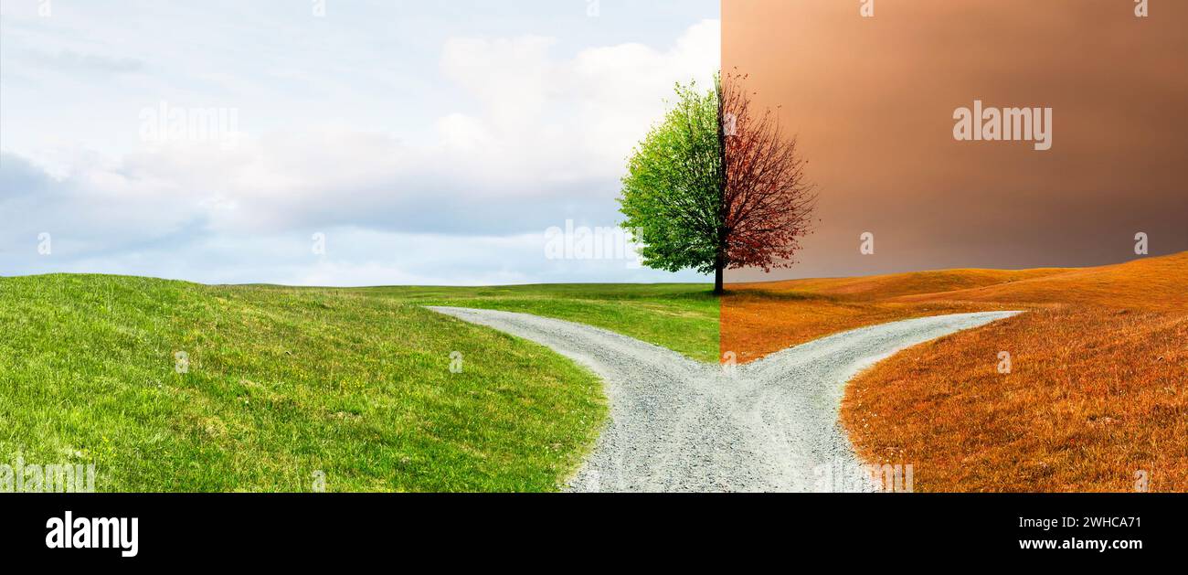 Fork in the road on a path through a hilly landscape Stock Photo