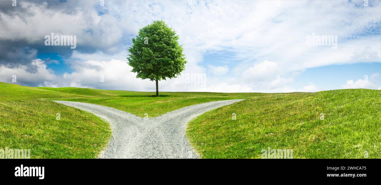 Fork in the road on a path through a hilly landscape Stock Photo