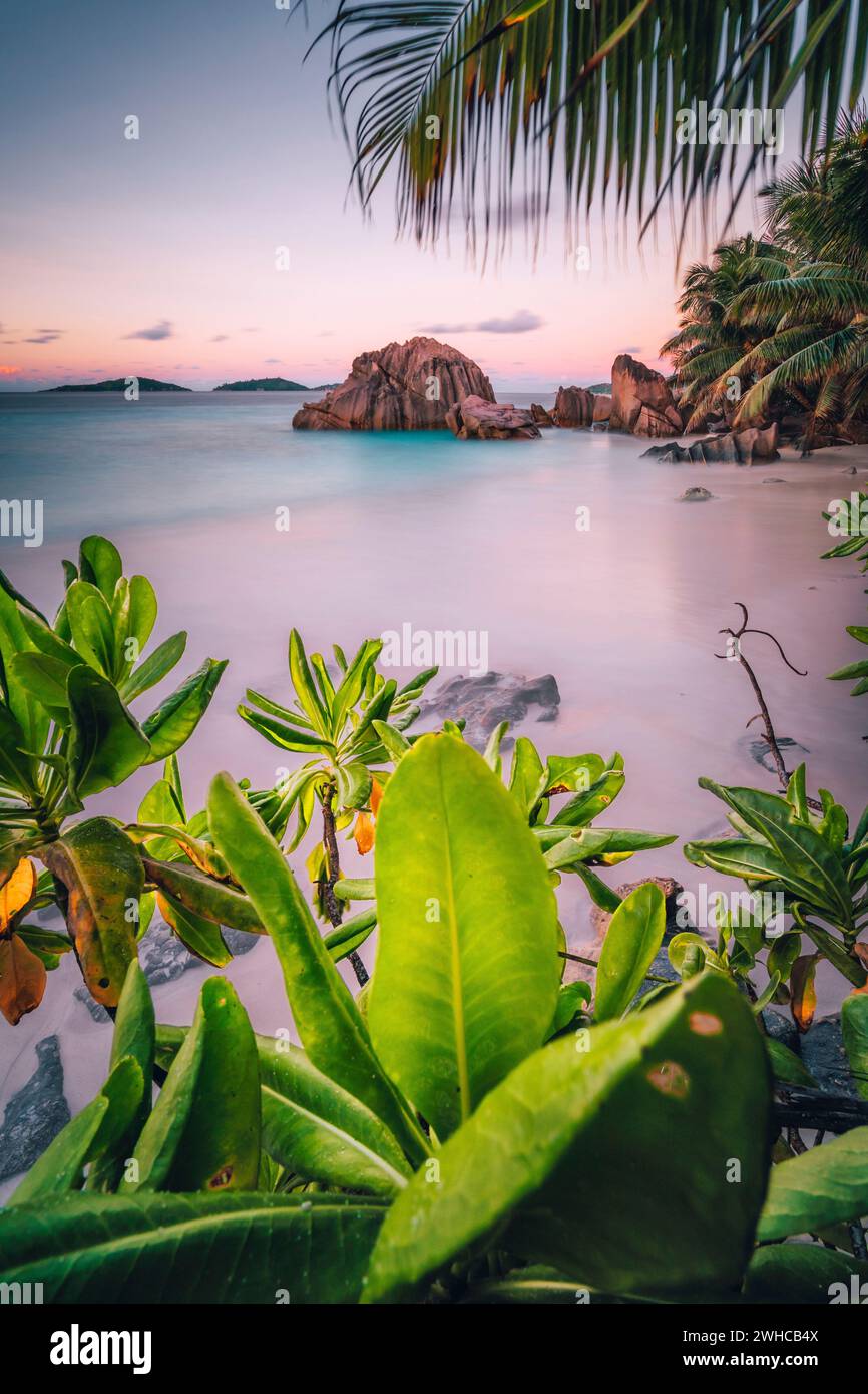 La Digue Island, Seychelles. Beautiful tropical sandy beach with exotic plants in evening sunset lilac light. Vacation holiday concept. Stock Photo
