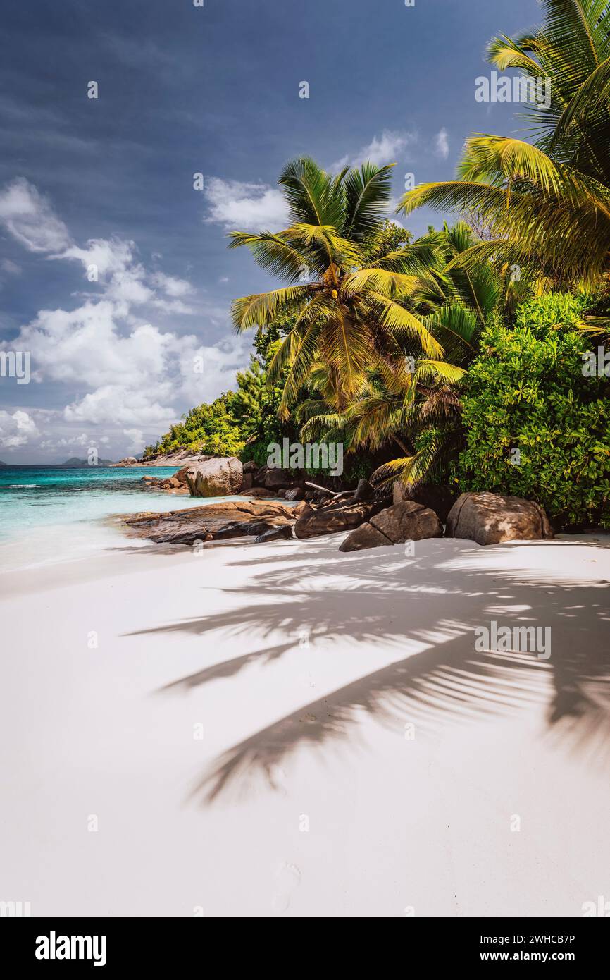 Beautiful Petite Anse beach at Mahe Island, Seychelles. Palm trees and blue sky. Holiday vacation destination. Stock Photo