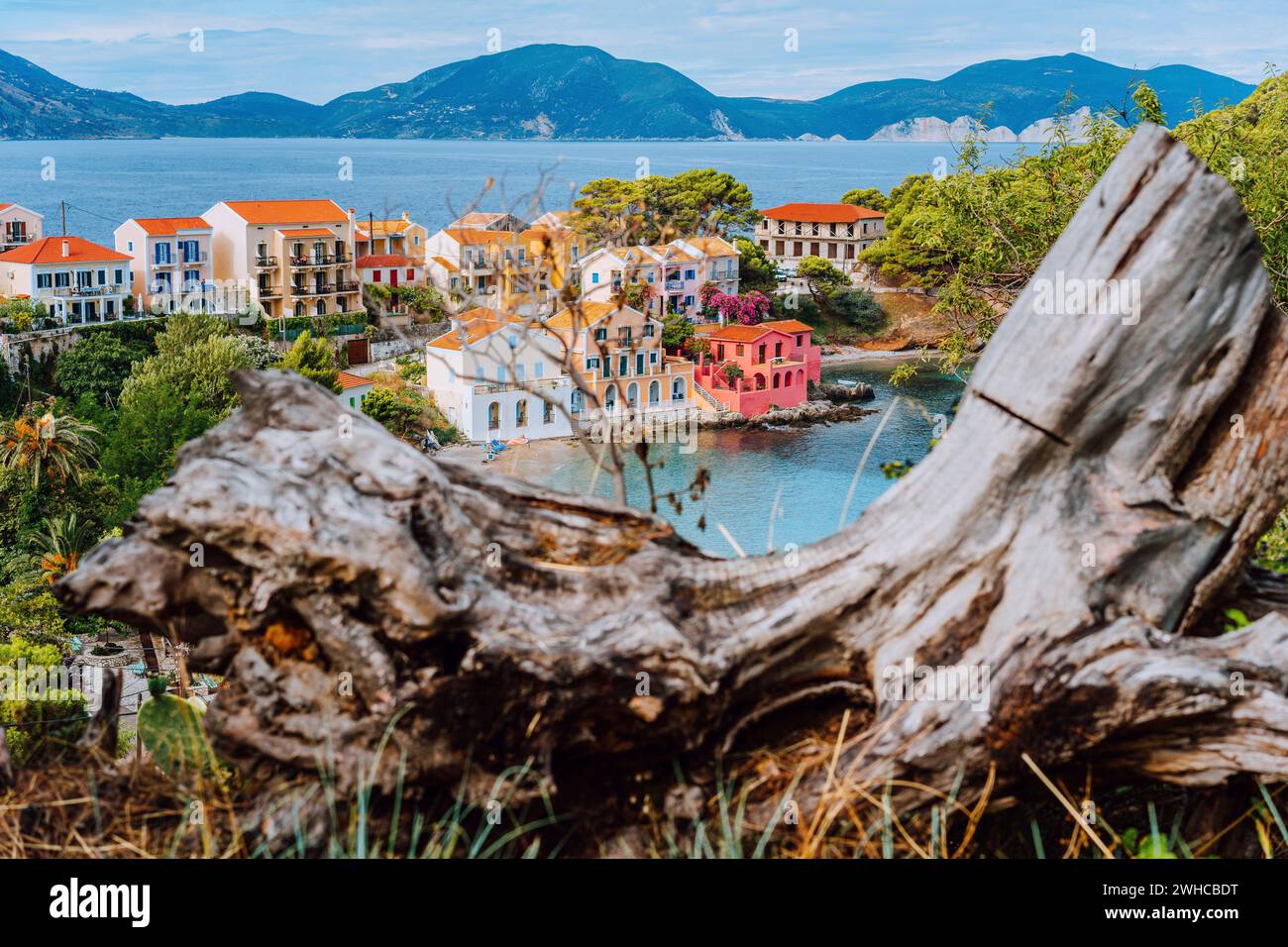Assos village in Kefalonia, Greece. Calm blue bay water and colored traditional houses. Old snag in the front. Stock Photo