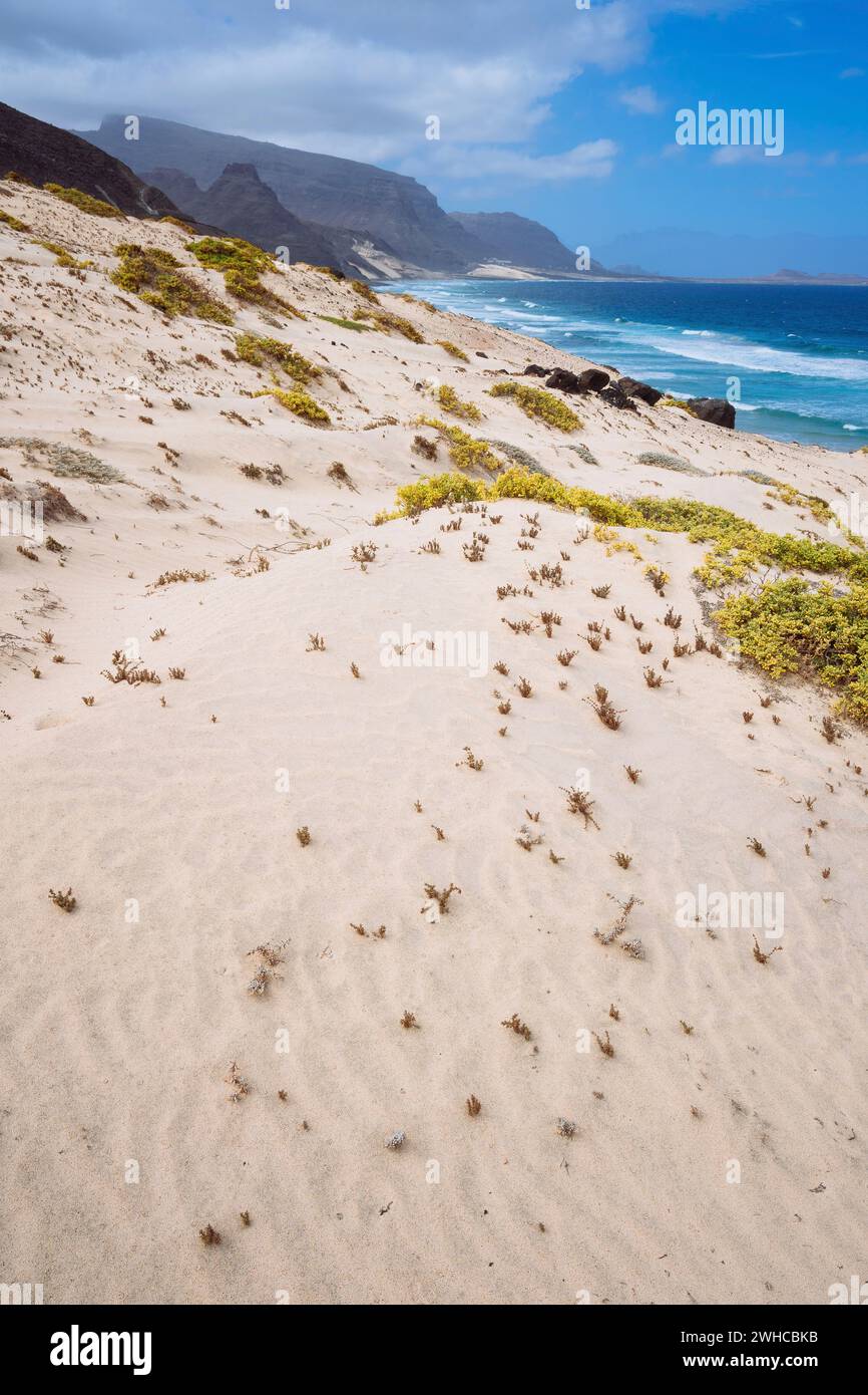 Sandy dunes with some desert plants in stunning desolate landscape of atlantic coastline. Baia Das Gatas, North of Calhau, Sao Vicente Island Cape Verde. Stock Photo