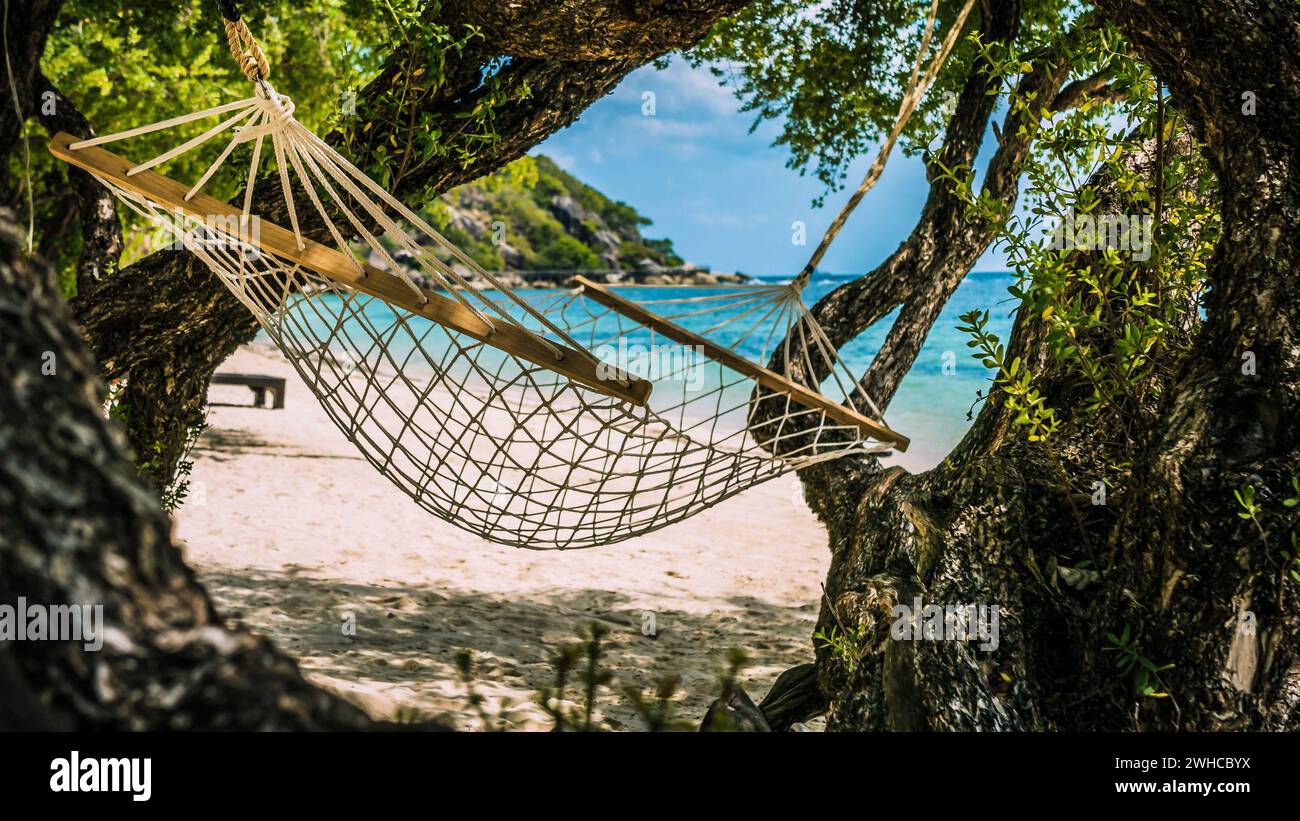 Appealing Hammock between bizarre Trees, Haad Rin, Koh Pangang. Stock Photo