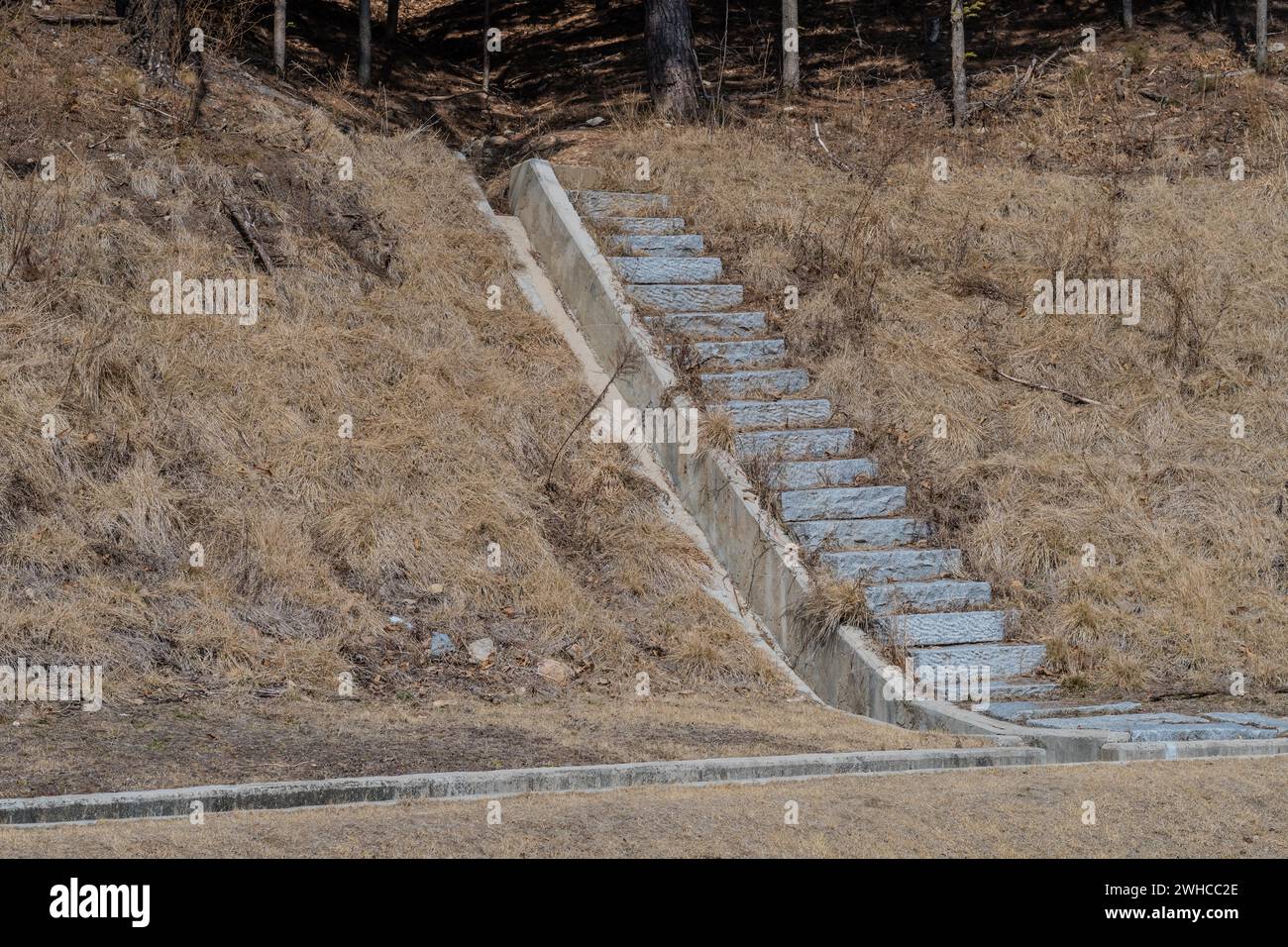 Concrete stairs on hillside in wilderness park in South Korea Stock Photo