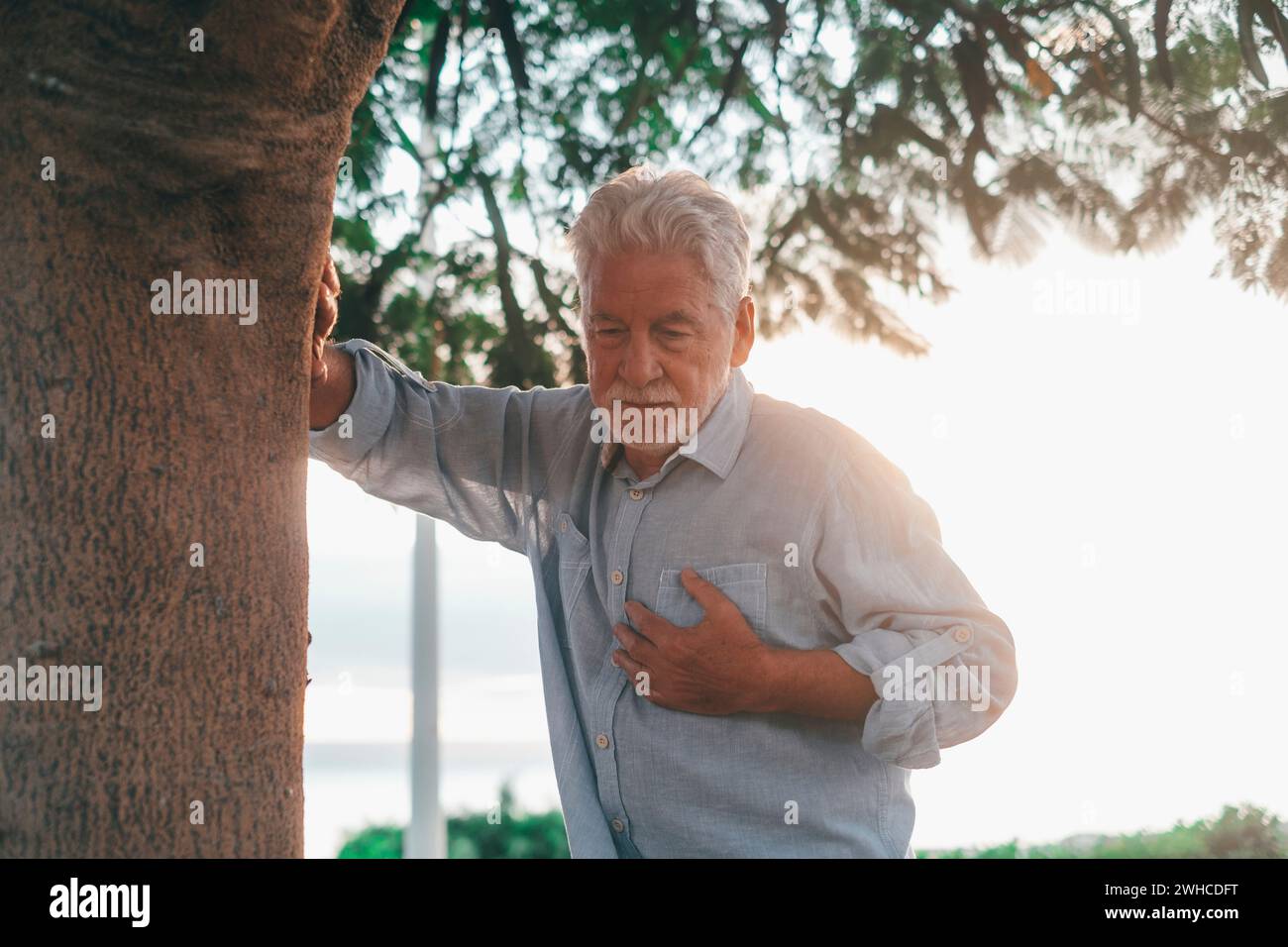Head shot close up portrait sick old man feeling bad touching his chest at the park. Tired mature male resting next to tree. Stock Photo