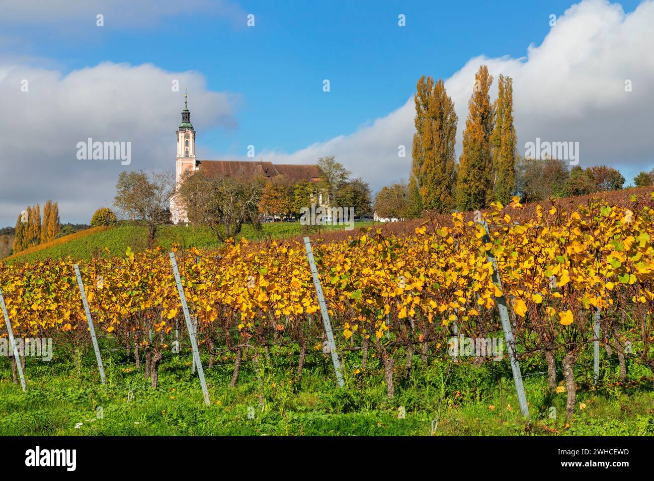 Birnau pilgrimage church and monastery, Unteruhldingen, Lake Constance, Baden-Württemberg, Germany Stock Photo