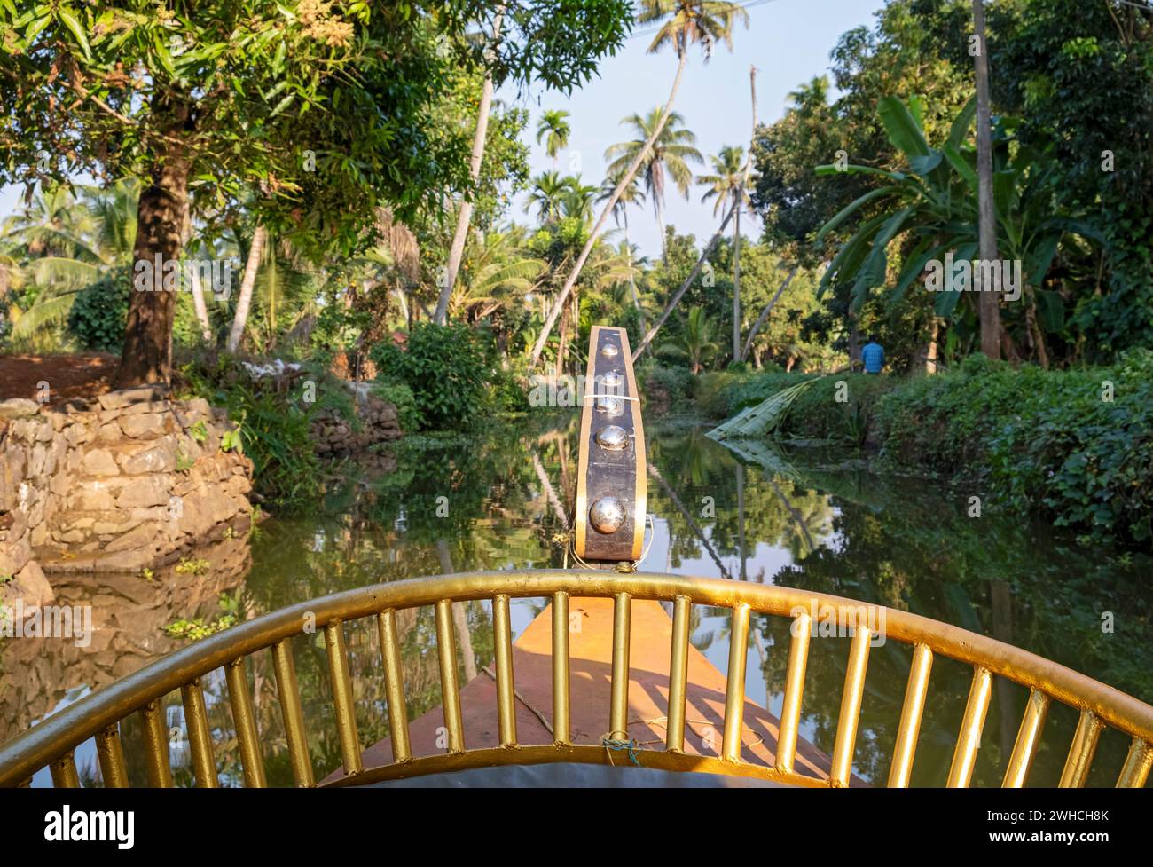View from the bow of a cruise boat offers a perspective of a canal near Kumarakom, Kerala backwaters, India Stock Photo