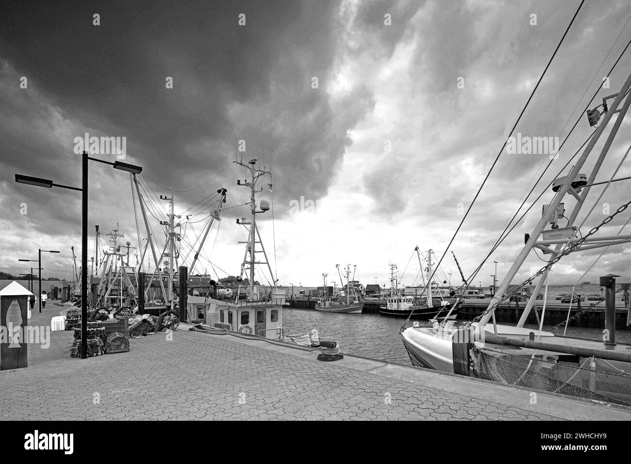 Crab cutters Black and White Stock Photos & Images Alamy
